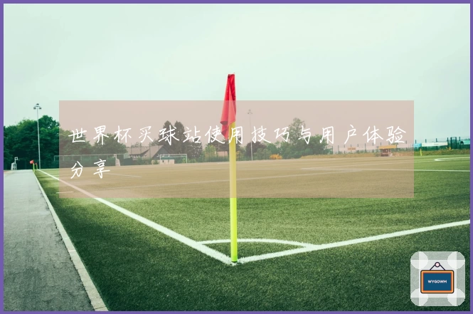 世界杯买球站使用技巧与用户体验分享