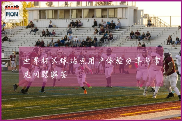 世界杯买球站点用户体验分享与常见问题解答