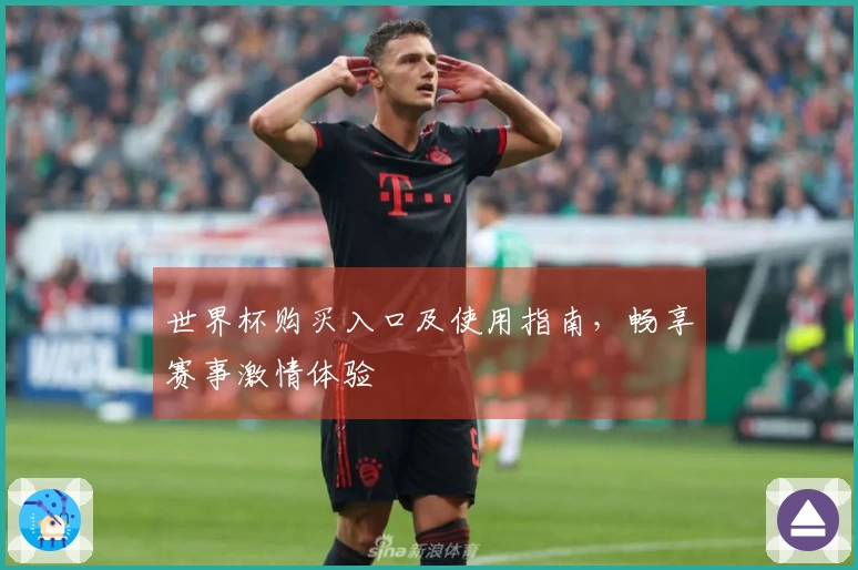 世界杯购买入口及使用指南，畅享赛事激情体验