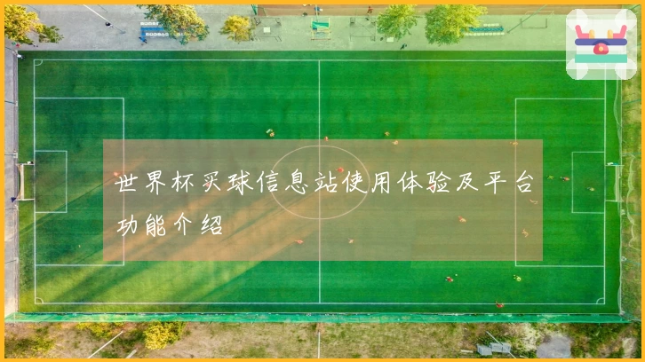 世界杯买球信息站使用体验及平台功能介绍