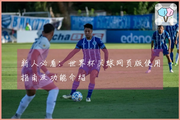 新人必看：世界杯买球网页版使用指南及功能介绍