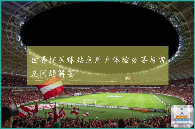 世界杯买球站点用户体验分享与常见问题解答