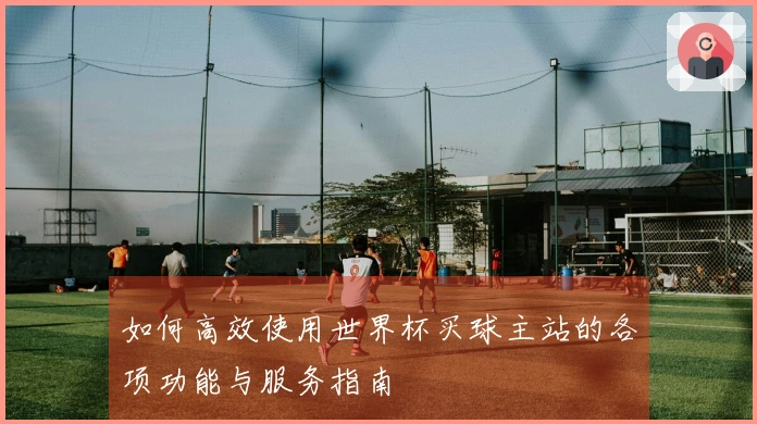 如何高效使用世界杯买球主站的各项功能与服务指南