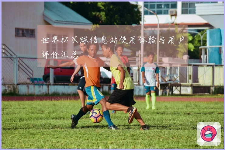 世界杯买球信息站使用体验与用户评价汇总