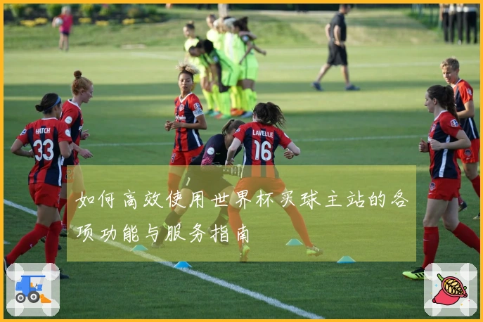 如何高效使用世界杯买球主站的各项功能与服务指南