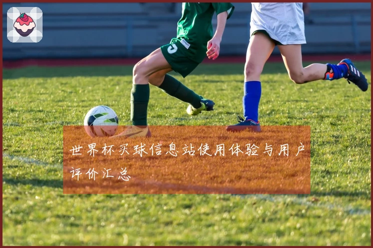 世界杯买球信息站使用体验与用户评价汇总